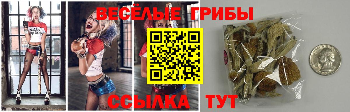 Псилоцибиновые грибы Magic Shrooms Новошахтинск